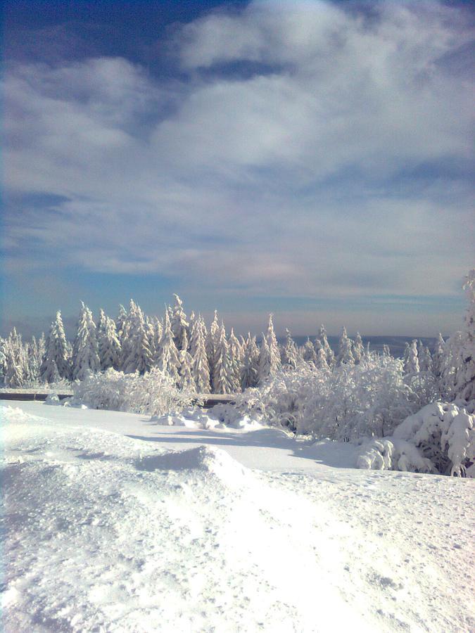 Gaestezimmer Im Haus Am Wald Φρόιντενσταντ Εξωτερικό φωτογραφία