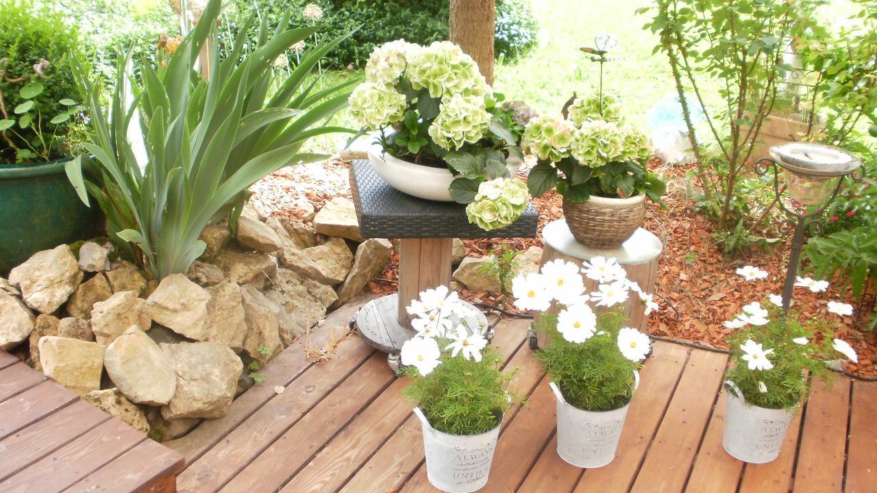 Gaestezimmer Im Haus Am Wald Φρόιντενσταντ Εξωτερικό φωτογραφία